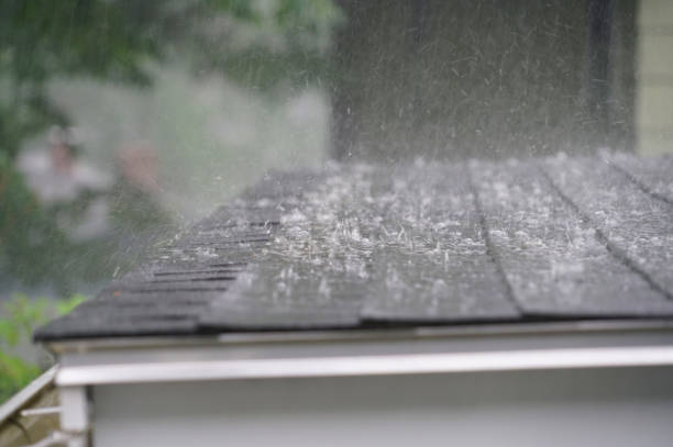 Best Roof Insulation Installation  in Clare, MI